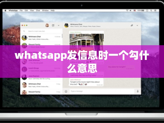 whatsapp发信息时一个勾什么意思