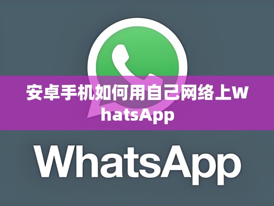 安卓手机如何用自己网络上WhatsApp