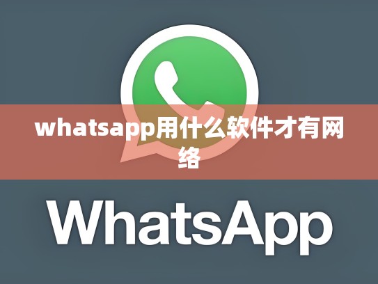 whatsapp用什么软件才有网络