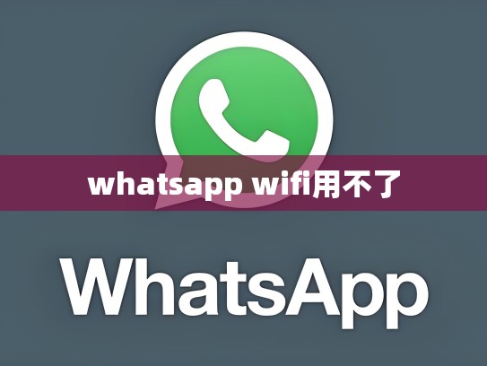 whatsapp wifi用不了