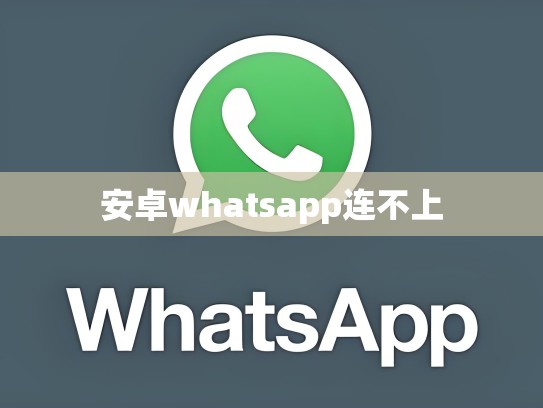 安卓whatsapp连不上
