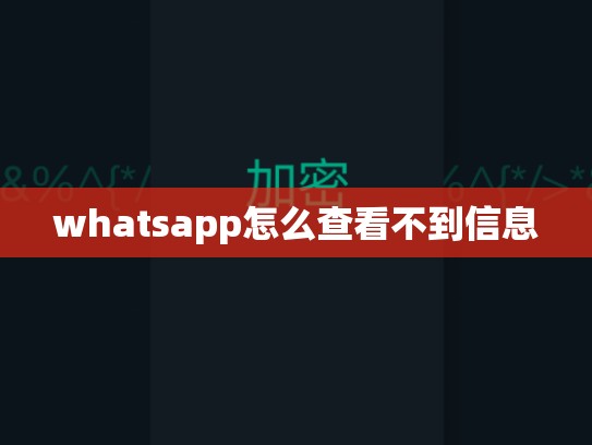 whatsapp怎么查看不到信息