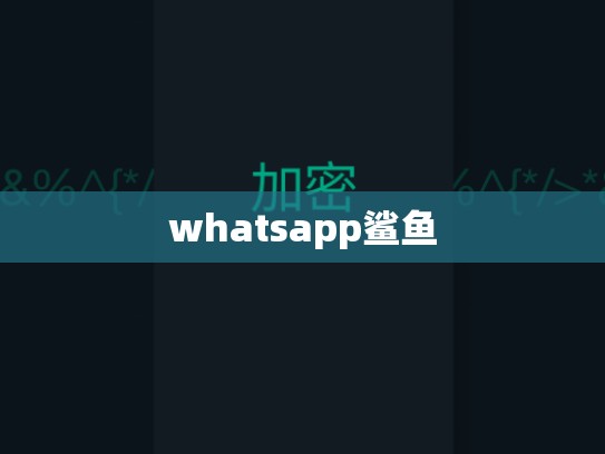 whatsapp鲨鱼