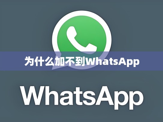 为什么加不到WhatsApp