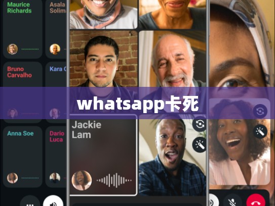 whatsapp卡死