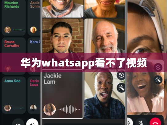 华为whatsapp看不了视频