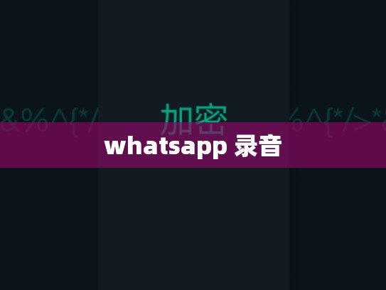 whatsapp 录音