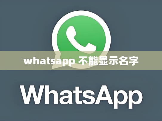 whatsapp 不能显示名字