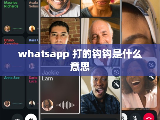 whatsapp 打的钩钩是什么意思