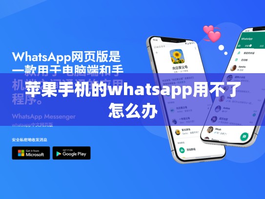 苹果手机的whatsapp用不了怎么办