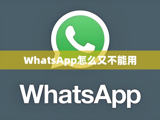 WhatsApp怎么又不能用