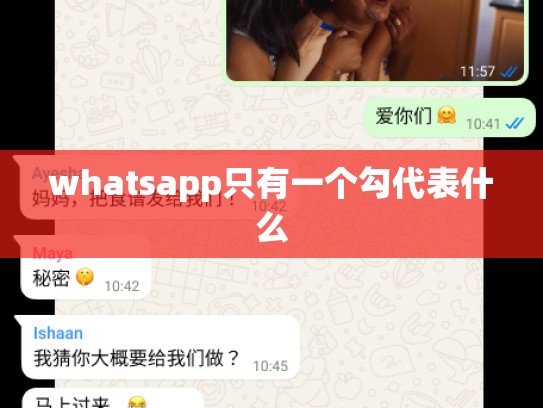 whatsapp只有一个勾代表什么