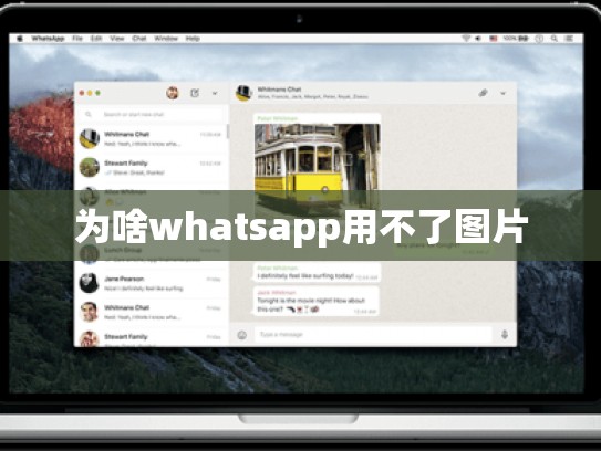 为啥whatsapp用不了图片