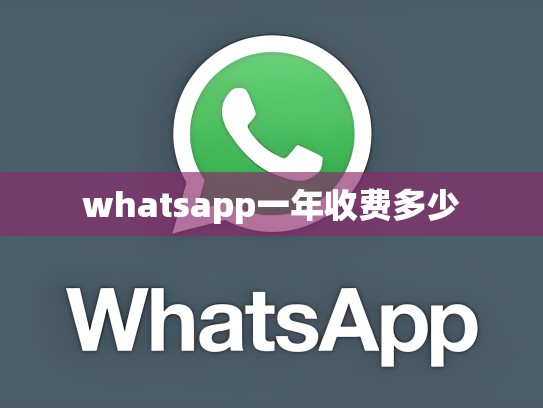whatsapp一年收费多少