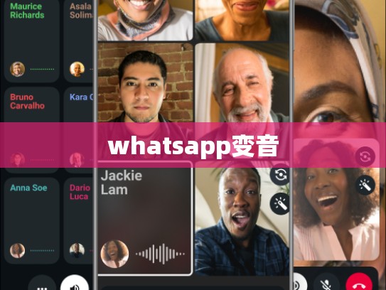 whatsapp变音