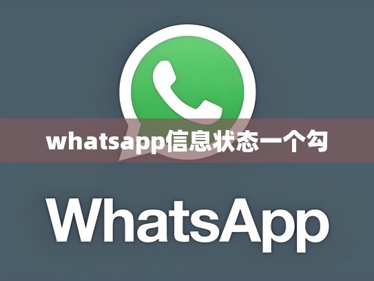 whatsapp信息状态一个勾