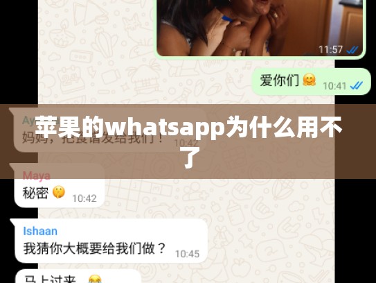 苹果的whatsapp为什么用不了