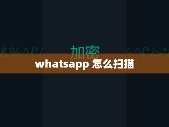 whatsapp 怎么扫描