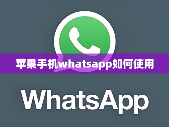 苹果手机whatsapp如何使用