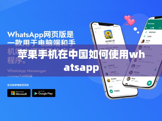 苹果手机在中国如何使用whatsapp
