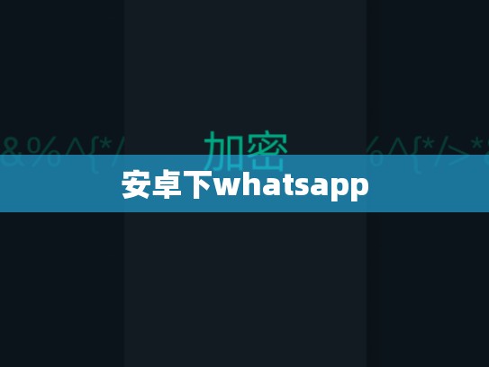 安卓下whatsapp