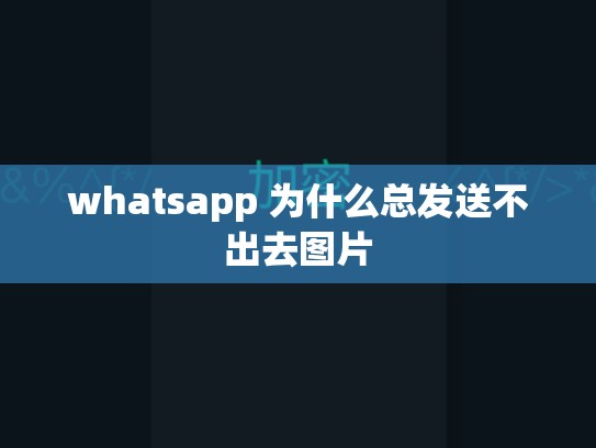 whatsapp 为什么总发送不出去图片