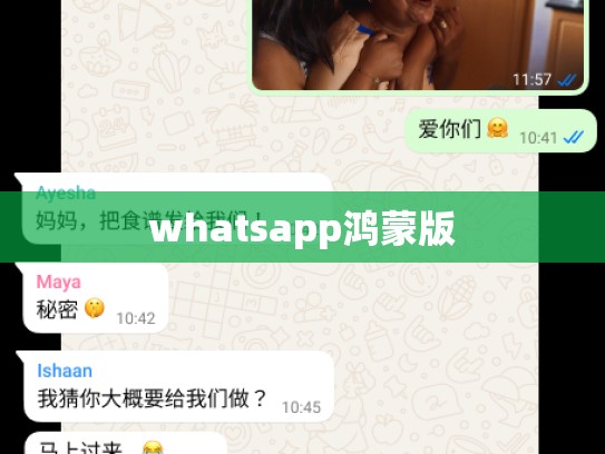 whatsapp鸿蒙版