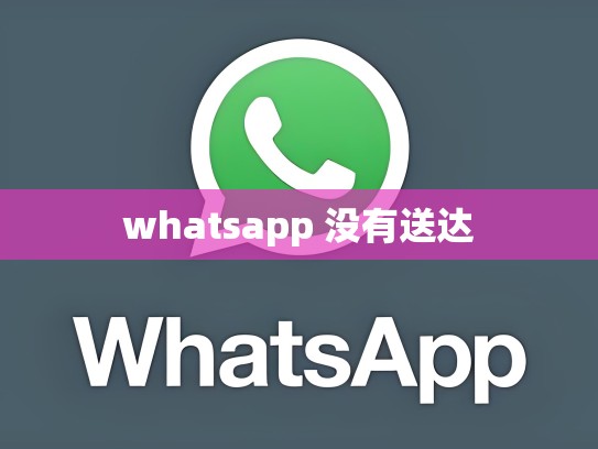 whatsapp 没有送达