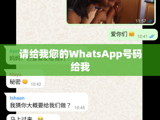 请给我您的WhatsApp号码给我