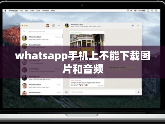 whatsapp手机上不能下载图片和音频