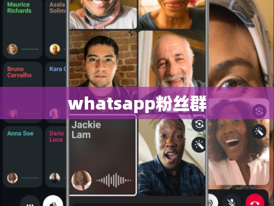 whatsapp粉丝群
