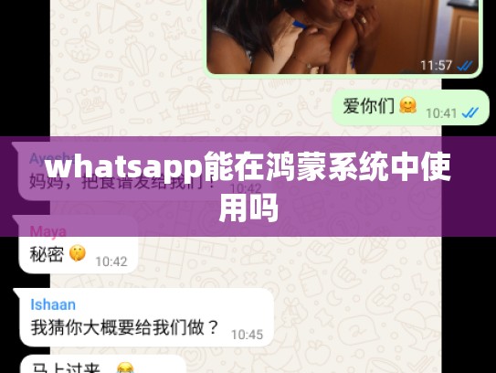 whatsapp能在鸿蒙系统中使用吗