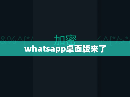 whatsapp桌面版来了