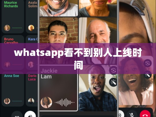 whatsapp看不到别人上线时间