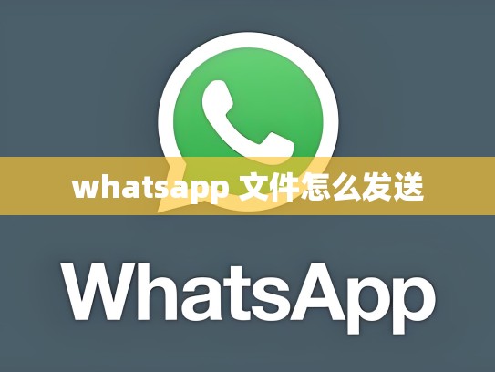 whatsapp 文件怎么发送