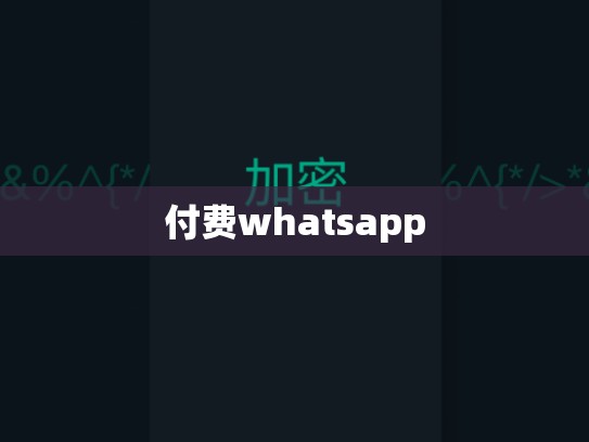 付费whatsapp