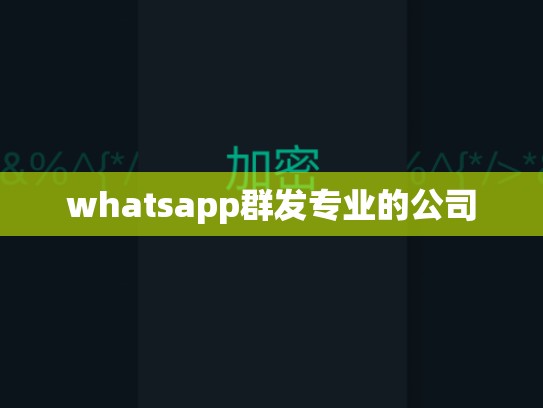 whatsapp群发专业的公司