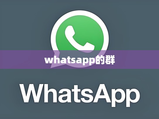 whatsapp的群