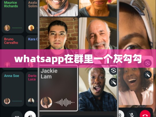 whatsapp在群里一个灰勾勾