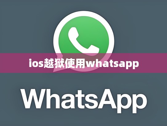 ios越狱使用whatsapp