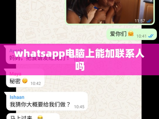 whatsapp电脑上能加联系人吗