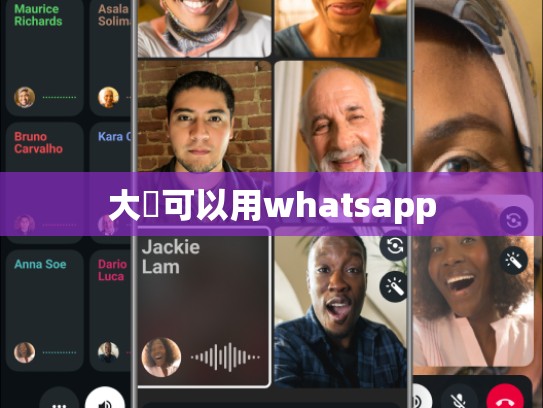 大陸可以用whatsapp