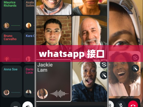 whatsapp 接口