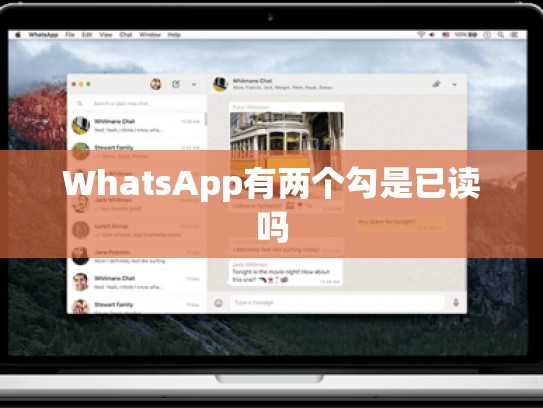 WhatsApp有两个勾是已读吗