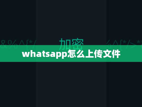 whatsapp怎么上传文件