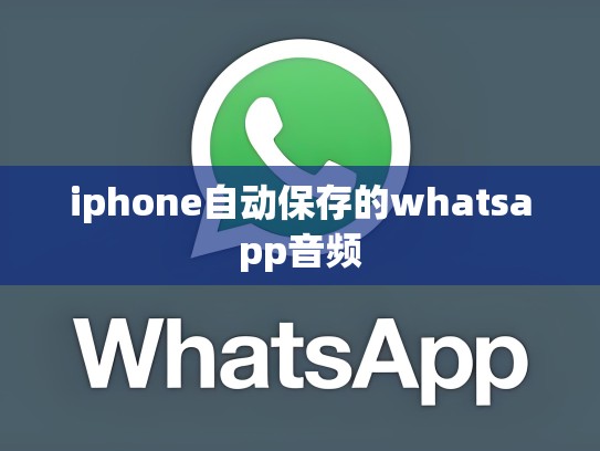 iphone自动保存的whatsapp音频