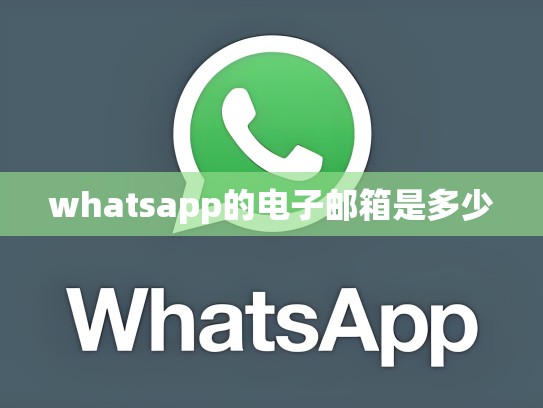 whatsapp的电子邮箱是多少