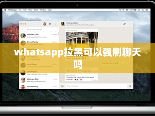 whatsapp拉黑可以强制聊天吗