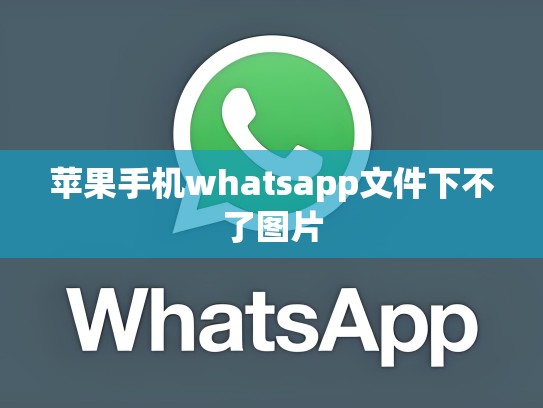 苹果手机whatsapp文件下不了图片