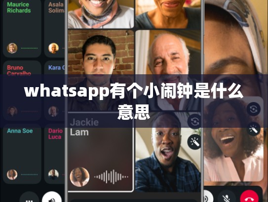 whatsapp有个小闹钟是什么意思